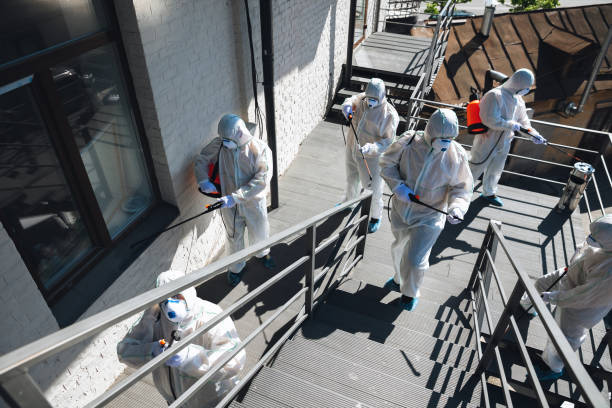 Best Black Mold Removal  in Muskegon, MI