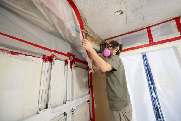 Best Mold Damage Restoration  in Muskegon, MI