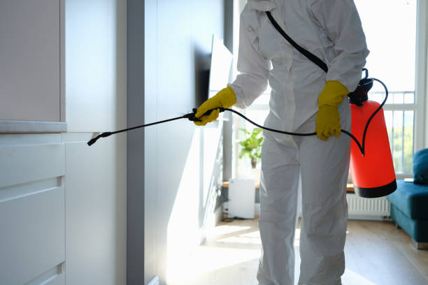 Best Attic Mold Removal  in Muskegon, MI