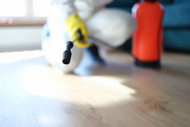 Best Air Quality Testing for Mold Spores  in Muskegon, MI