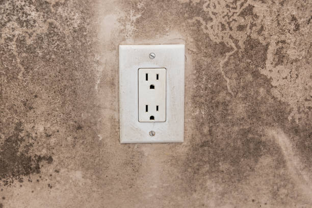 Best Forensic Mold Investigation  in Muskegon, MI